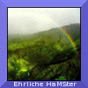 images/avatars/avatar-370.gif