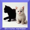 images/avatars/avatar-383.gif