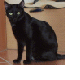 images/avatars/avatar-770.gif